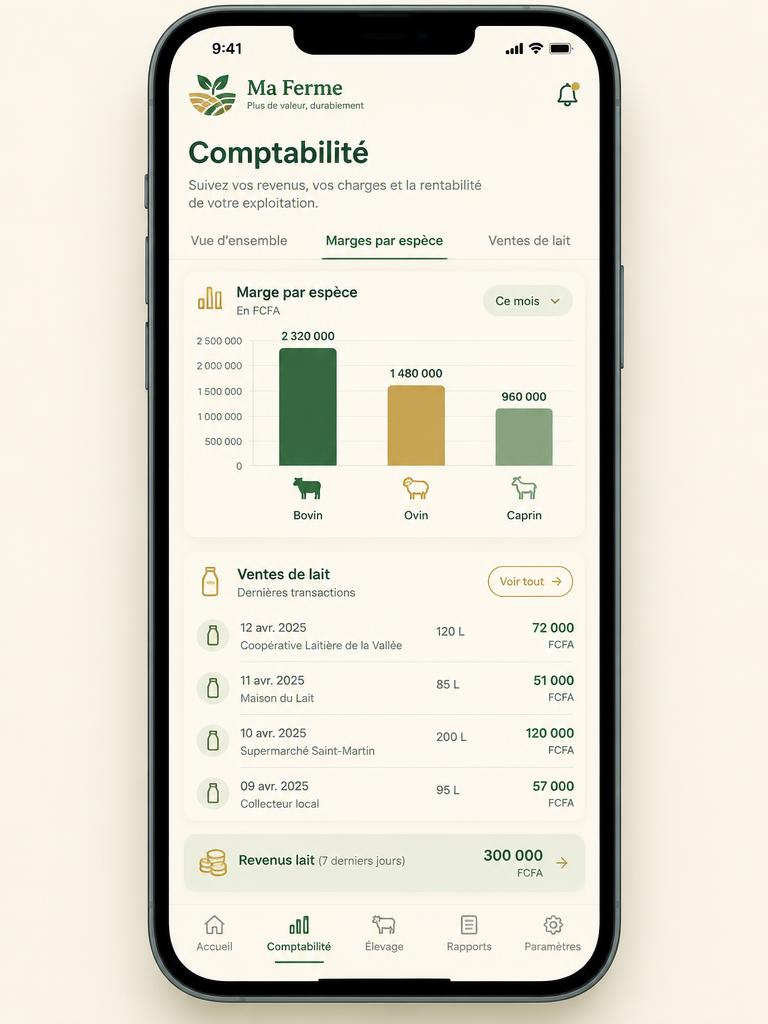 Aperçu de la comptabilité